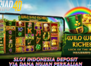 Slot Indonesia Deposit Via Dana Hujan Perkalian Game Wild Wild Riches Luck Of the Irish Megaways