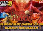 Situs Agen Terpercaya Deposit Slot Gacor Via Dana Dijamin Memuaskan