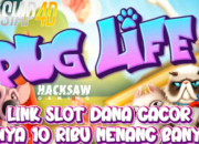 Link Slot Dana Gacor Hanya 10 Ribu Menang Banyak Bermain Pug Life